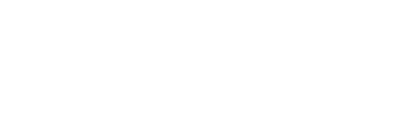 Mentorschap